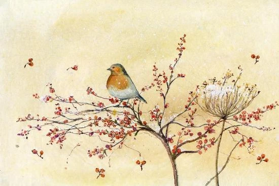 Christmas Robin 18" X 12" Just The Print 4 Christmas Robin 18" X 12" Just The Print - Image 4