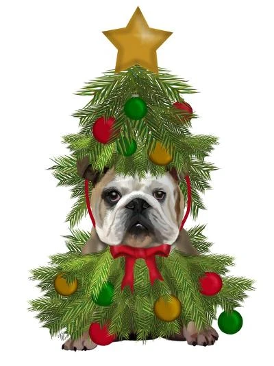 English Bulldog, Christmas Tree Costume 12" X 16" Just The Print 2 English Bulldog, Christmas Tree Costume 12" X 16" Just The Print - Image 2