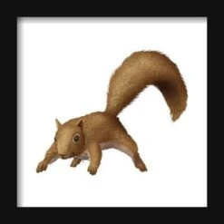 Gallery Pops National Lampoon's Christmas Vacation - Squirrel Wall ArtGallery Pops Black Frame -The Print Shop gallery pops national lampoon s christmas vacation squirrel wall art u L Q1RJ76Z27XW73 3