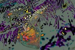 Heart Ornament, From The Series, The Christmas Tree, 2015 18" X 12" Just The Print 6 Heart Ornament, From The Series, The Christmas Tree, 2015 18" X 12" Just The Print -The Print Shop heart ornament from the series the christmas tree 2015 u L Q1KJE630 2