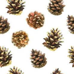Seamless Floral Pattern On A White With Pinecone. Festive Christmas Background With Watercolor Real 16" X 16" Just The Print -The Print Shop seamless floral pattern on a white with pinecone festive christmas background with watercolor real u L Q1K634B0 3