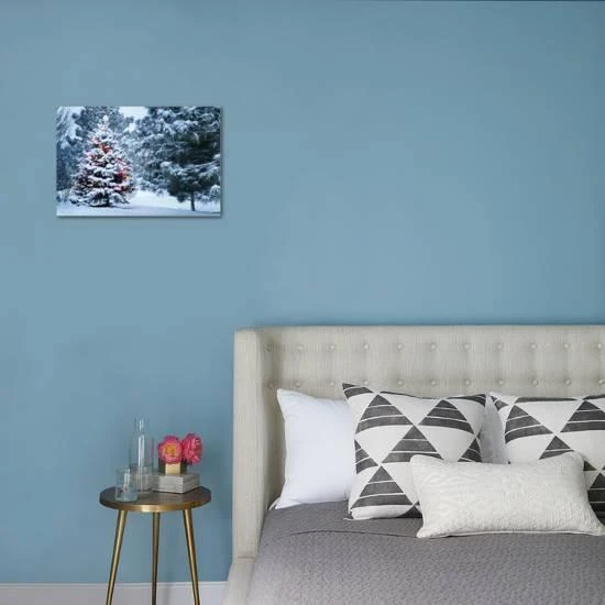 This Snow Covered Christmas Tree Stands Out Brightly Against The Dark Blue Tones Of This Snow Cover 18" X 12" Stretched Canvas 5 This Snow Covered Christmas Tree Stands Out Brightly Against The Dark Blue Tones Of This Snow Cover 18" X 12" Stretched Canvas - Image 5